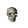 empty head